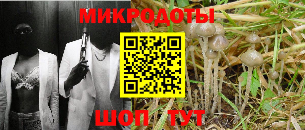 Псилоцибиновые грибы Cubensis  Вход с VPN  Верхний Уфалей  Псилоцибиновые грибы Psilocybe 